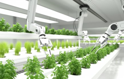 Strategische projecten voor de voedingssector